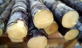 甘蔗削皮后隔夜能吃吗（甘蔗削皮后隔夜能吃吗有毒吗）