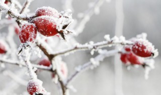 冬天文案治愈系 秋冬治愈文案