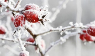 冬季温暖人心的短句 冬天温暖人心的句子