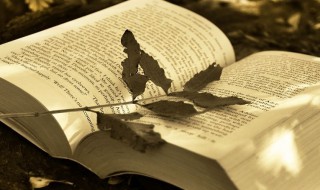 温柔到骨子里的温柔句子（温柔到骨子里的温柔句子说说）