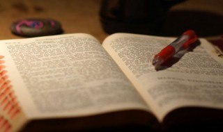 撩骚情话最暖心短句（撩骚情话最暖心短句）