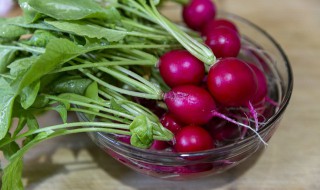 萝卜和泥鳅能不能一起吃 泥鳅和青萝卜能一起吃吗