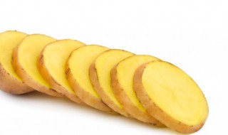 生菜能不能和土豆熬在一起吃 生菜能不能和土豆熬在一起吃呢