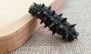 边吃海参边吃苹果有影响吗(吃海参后能吃水果吗)