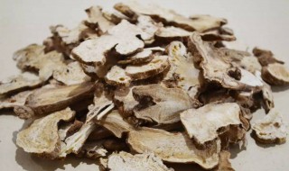 白术可以怎么吃怎样吃最好（吃白术不能吃什么）