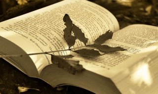 活到老学到老成语解释 活到老学到老成语解释及造句