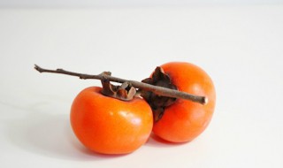 柿子泡水里几天能吃（柿子泡水里几天能吃了）