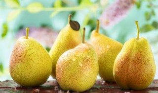 熬梨水能和普洱茶一块喝吗（普洱茶和梨一起煮水的功效）