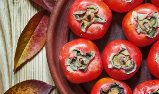 柿子怎么养（柿子怎么养熟）