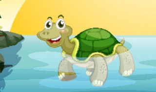 老人为什么不建议养乌龟 老人为什么不建议养乌龟养龟毁一生是怎么回事