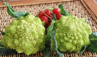 罗马花椰菜的营养价值有哪些（罗马花椰菜的营养价值有哪些呢）