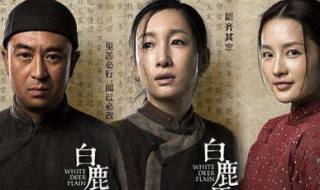 白鹿原里二豆是谁演的 白鹿原里二逗的扮演者