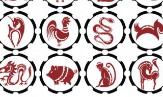 23年属什么生肖（23年属什么生肖的宝宝）