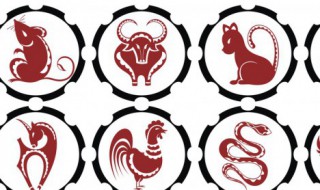 73年属什么生肖（73年属什么生肖 婚配）