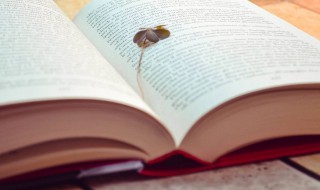 神丹是什么意思 神仙丹是什么呀