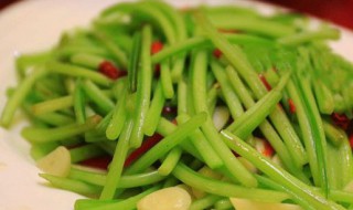 红薯杆子的功效与作用 红薯杆子的功效与作用禁忌