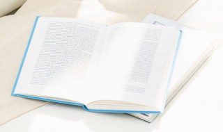 犟嘴是什么意思（犟嘴是什么意思啊）