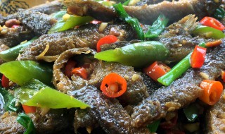 吃泥鳅大的好还是小的好（吃泥鳅大的好还是小的好呢）