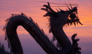 2024年属什么生肖 2024年属什么生肖龙是什么命