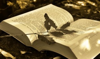 衡量是什么意思 都怕扑空,都在衡量是什么意思