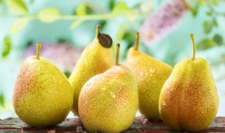 隔夜的冰糖雪梨水可以喝吗 隔夜冰糖雪梨水能喝吗