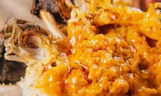 大闸蟹公蟹的膏是指什么（公的大闸蟹的膏是什么）