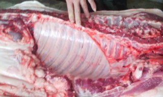 猪肉飞机翅是猪的哪个部位 猪飞机翅图片