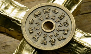 1989年属什么生肖的