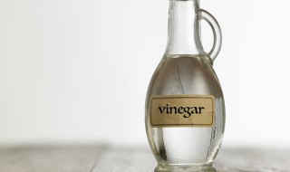 蛋白质和醋会发生反应吗 蛋白质和醋会发生什么反应