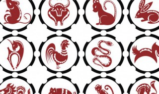 1958年属什么生肖 1958年属什么生肖属相