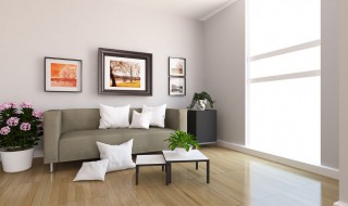 五行属火的风水吉祥物有哪些 五行属火的风水吉祥物有哪些呢