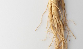 小人参长什么样 小人参长什么样子