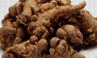 田三七的功效与作用及食用方法(田三七的功效与作用及食用方法有哪些?)