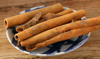 桂皮的功效与作用及食用方法(桂皮的功效与作用及食用方法禁忌)