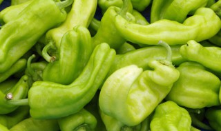 青辣椒的保存方法（青红椒的保存方法）