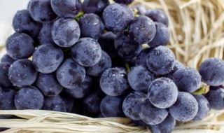 家庭酿制葡萄酒的方法 家庭酿制葡萄酒的方法视频