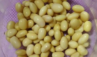 黄豆发芽和皮变黑了还能吃吗（黄豆发芽的地方变黑了）