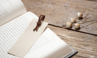 一言为定的意思 一言为定的意思简短