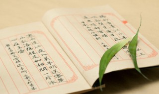 爱惜羽毛的意思（爱惜羽毛的意思是什么意思）