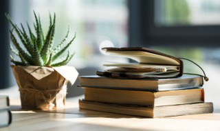 人情练达的意思（人情练达的意思和造句）