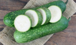 排骨炖冬瓜怎么炖（排骨炖冬瓜怎么炖法）