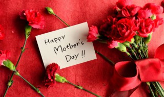 母亲节送康乃馨几朵（母亲节送康乃馨几朵花）