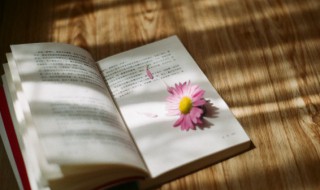 雨字取名的寓意（雨字取名的寓意女孩）