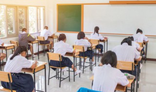 脾怎么读（脾怎么读组词）