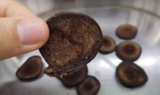 鹿茸片泡水方法（干鹿茸片泡水喝方法）