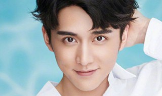 张新成谭松韵快乐大本营有哪几期（张新城和谭松韵快乐大本营）