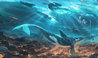 什么是鲸落（什么是鲸落字体）