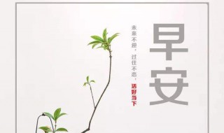 早安励志正能量句子（早安工作励志正能量的句子）