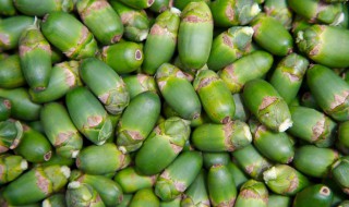 水槟榔功效（水槟榔功效作用禁忌）