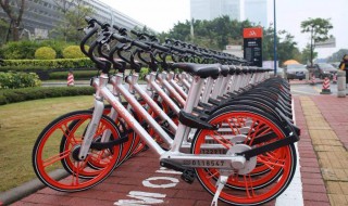 哈罗单车停在服务区外有什么影响? 哈罗单车不停在服务区要收取多少钱